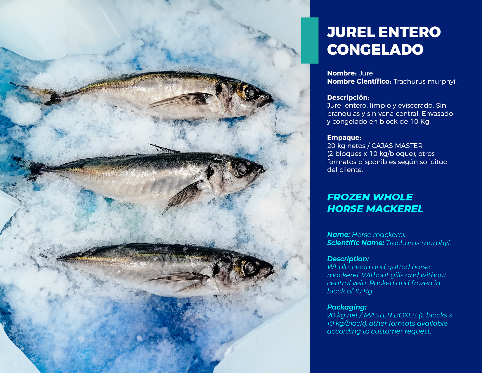 brochure 1